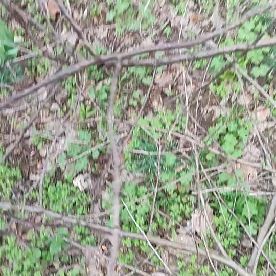 Видео отзыв